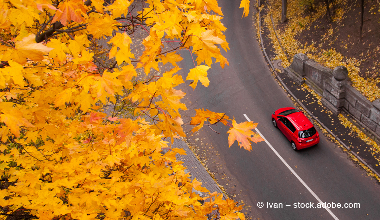 Franke und Bornberg: Rund jeder vierte Kfz-Tarif ist top