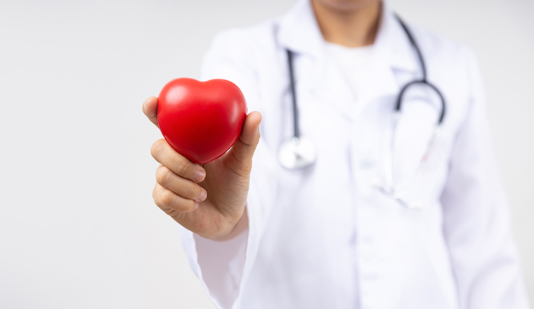 Close up hand of doctor holding red heart for heart disease for health insurance service  concept